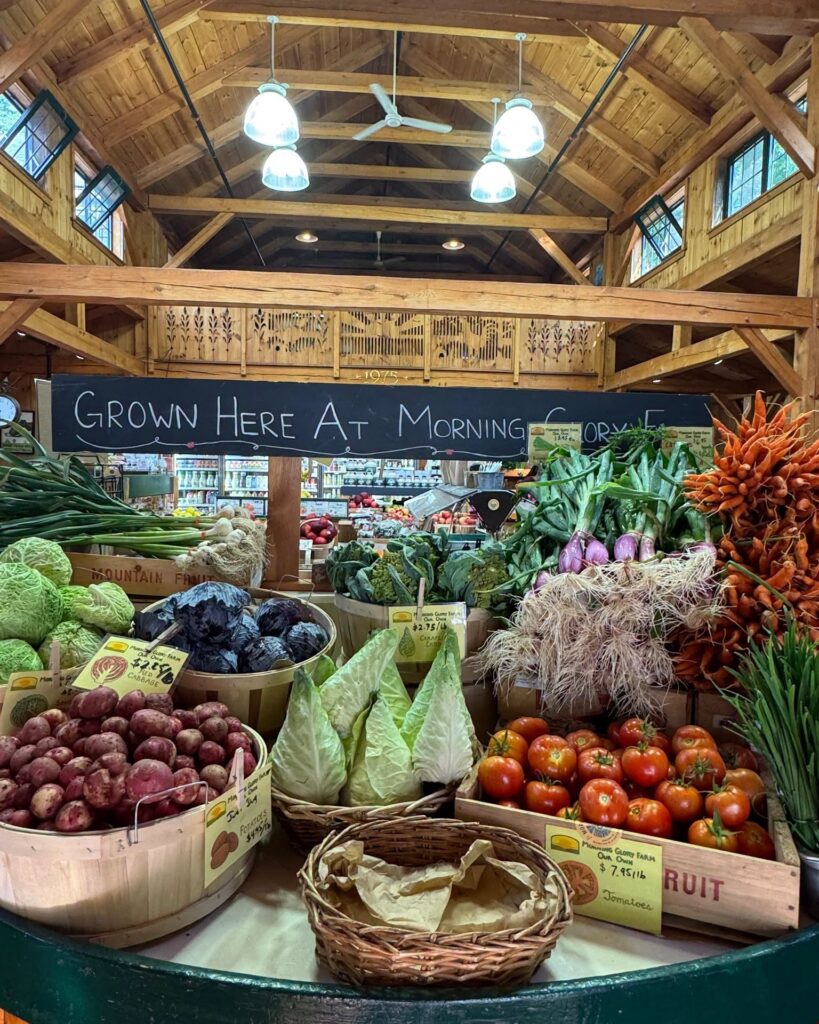 Fresh Farm Vegetables displayed inside the Morning Glory Farm farmstand during peak summer harvest on Martha's Vineyard.