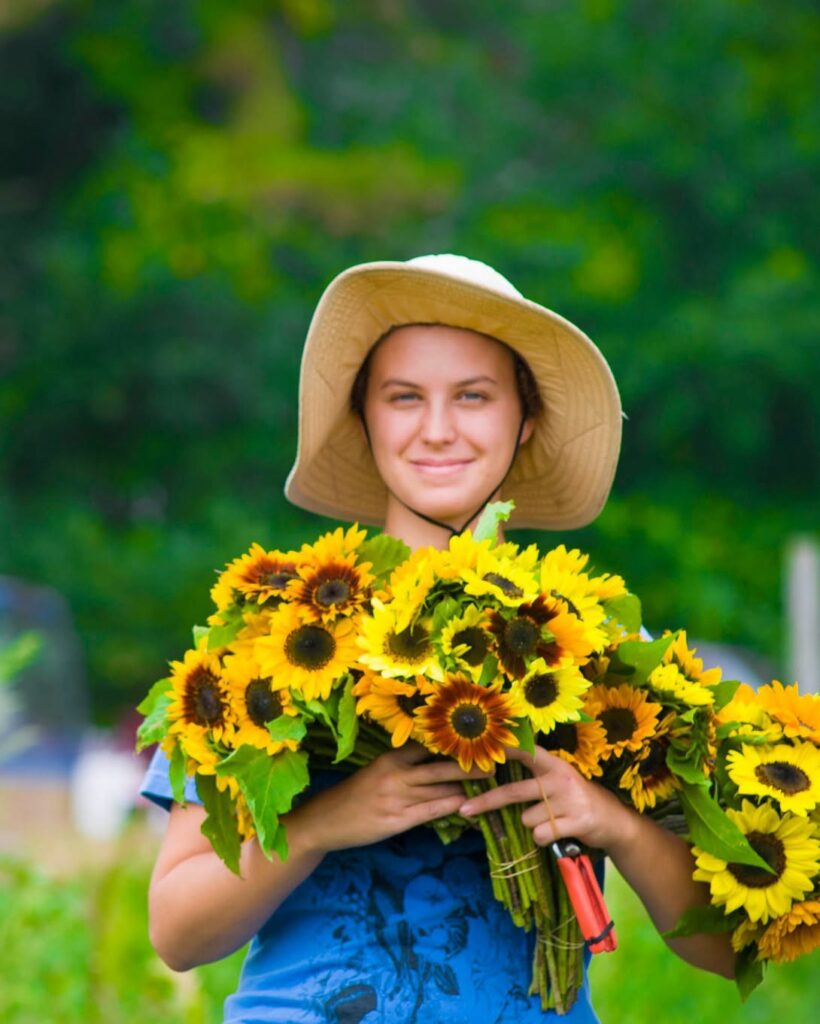 Martha's Vineyard flowers freshly harvested at Morning Glory Farm