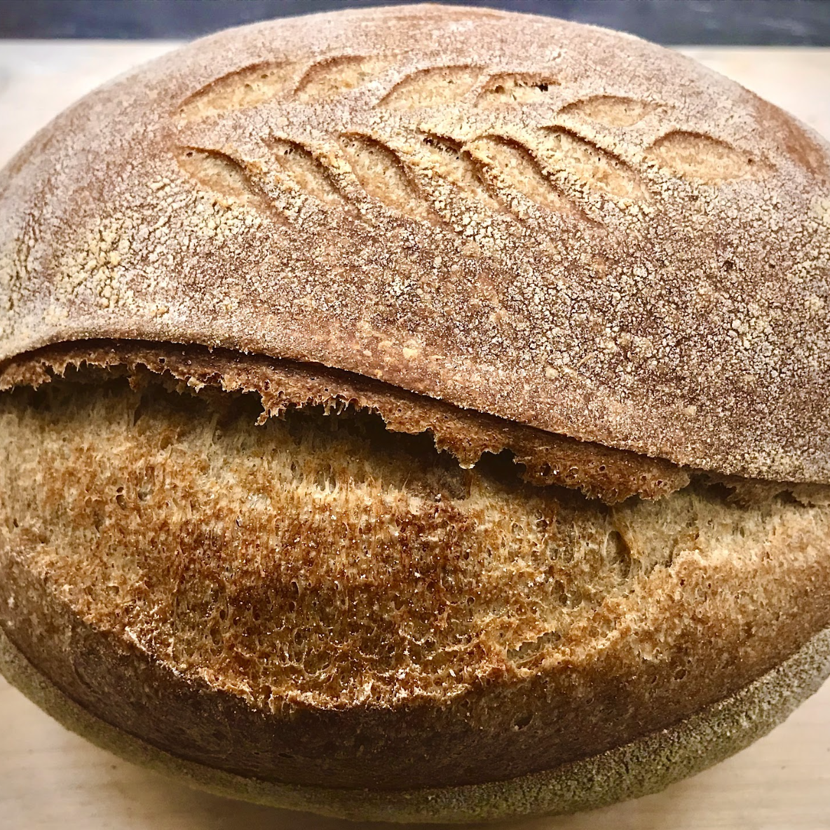 <h4>Bread</h4>
Every day Breads are Whole Wheat Loaf, Anadama Loaf, Multigrain Loaf, Country Sourdough Boule Special Breads today are 
Cranberry Orange Sourdough, Parker House Rolls