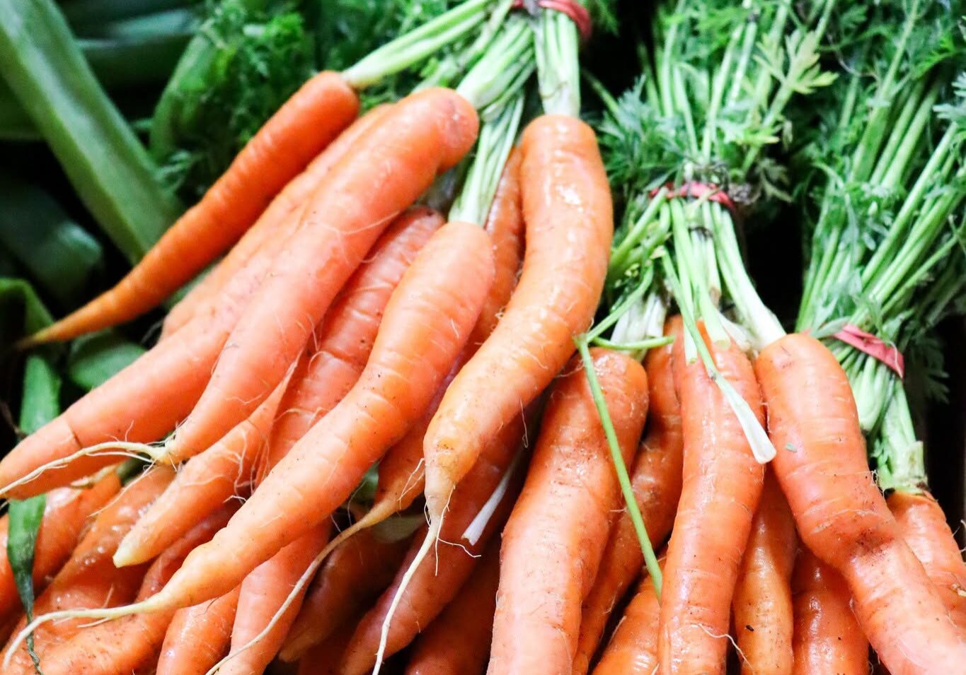 Fresh Farm Vegetables featuring freshly harvested carrots from Morning Glory Farm.