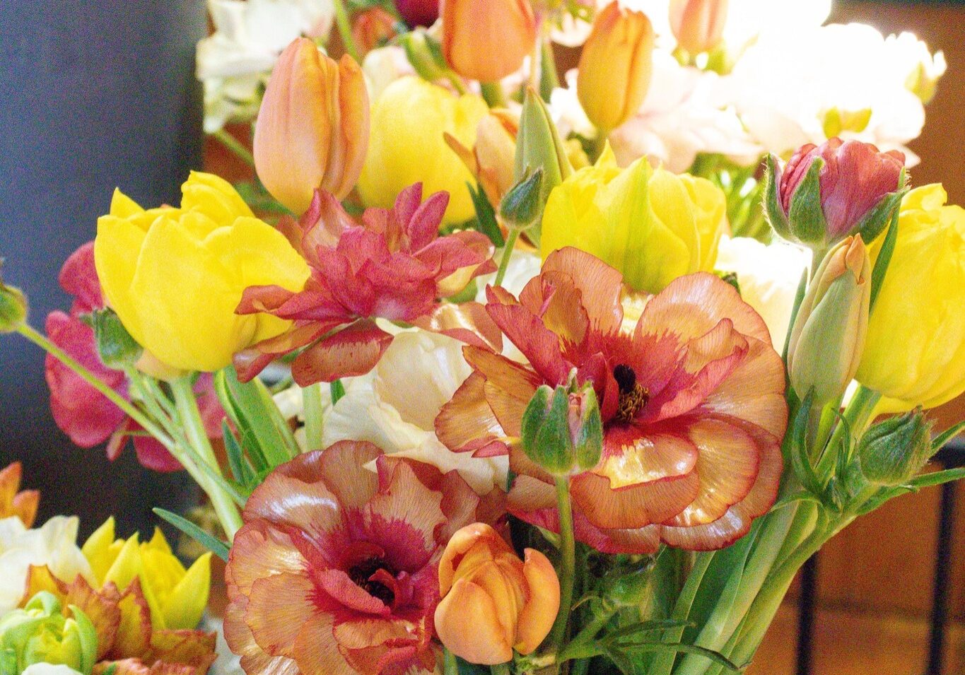 Seasonal fresh flowers near me grown locally at Morning Glory Farm Martha’s Vineyard