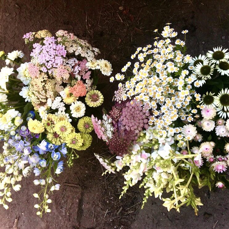 mixed-bucket-2-1024x743