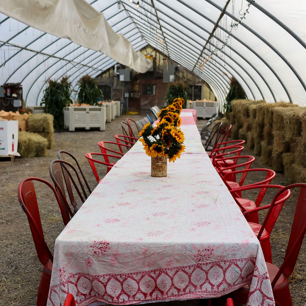 Winter to spring at Morning Glory Farm shown through a long table set inside a working greenhouse